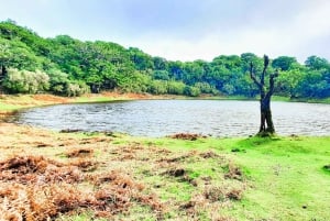 Madeira: Porto Moniz: Wild West Tour: In 4*4 car: Duration 7.5h