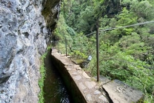 Madeira: PR 9 - Levada do Caldeirão Verde Wandeltransfer
