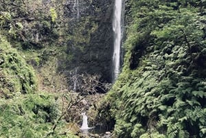 Madeira: PR 9 - Levada do Caldeirão Verde Wandeltransfer