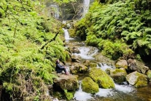 Madeira: PR 9 - Levada do Caldeirão Verde Wandeltransfer