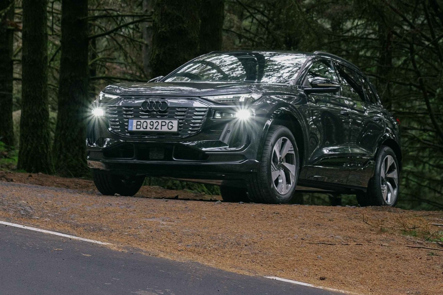 Madeira: Premium all-inclusive ekotur