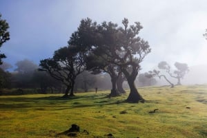 Madeira: Premium all-inclusive ekotur