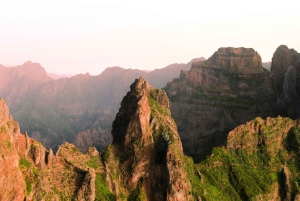 Madeira: Excursão ecológica premium com tudo incluído