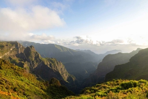Madeira: Excursão ecológica premium com tudo incluído