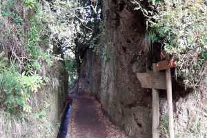 Madeira: privé 1,5 kilometer lange Levada dos Balcões-wandeling PR11