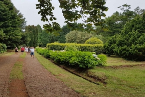 マデイラ島：3時間のプライベート動物園ツアーをご案内します