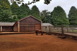 マデイラ島：3時間のプライベート動物園ツアーをご案内します