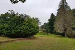 マデイラ島：3時間のプライベート動物園ツアーをご案内します