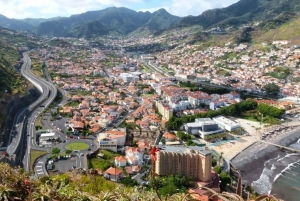 マデイラ島：3時間のプライベート動物園ツアーをご案内します