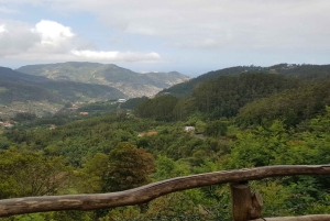 マデイラ島：3時間のプライベート動物園ツアーをご案内します