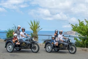 Madeira: Private 4-Hour Scenic Tour by Sidecar