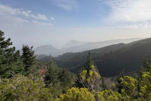 Madeira - Privé 4x4 tour naar het oosten