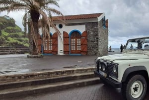 Madeira: Privat 4x4 naturtur med guide