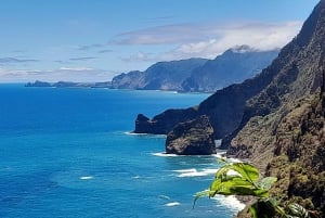 Madeira: Privat 4x4 naturtur med guide