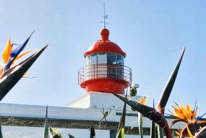 Madeira: Privat 4x4 naturtur med guide
