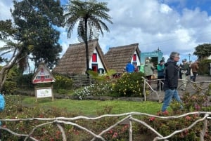 Madeira: Privat 4x4 naturtur med guide