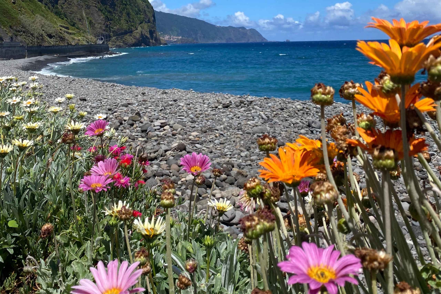 Madeira private 4x4 tour: North-East Coast