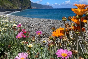 Madeira private 4x4 tour: North-East Coast