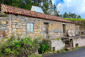 Madeira private 4x4 tour: North-East Coast