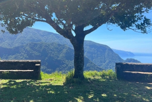 Madeira private 4x4 tour: North-East Coast