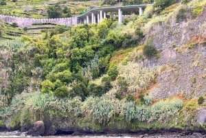 Madeira private 4x4 tour: North-West Coast