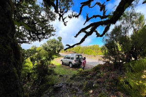 Prywatna wycieczka 4x4 po Maderze: Wybrzeże Północno-Zachodnie