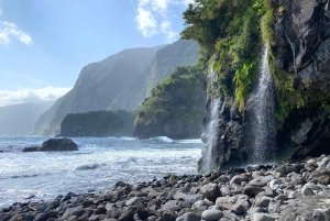 Prywatna wycieczka 4x4 po Maderze: Wybrzeże Północno-Zachodnie