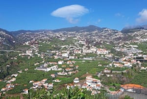 Madeira: Private Banana Farm Tour with Pickup