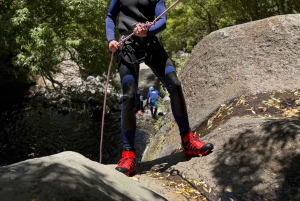 Madeira: Private Canyoning tour