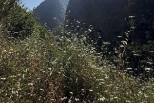 Madeira: Private Canyoning tour