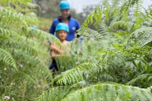Madeira: Private Canyoning tour