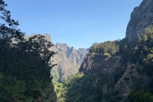 Madeira: Private Canyoning tour