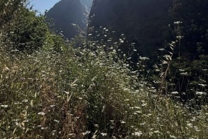 Madeira: Yksityinen kanjonikiipeilyretki