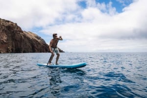 Privat katamarantur på Madeira i Ponta de Sao Lourenço