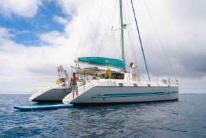Privat katamarantur på Madeira i Ponta de Sao Lourenço