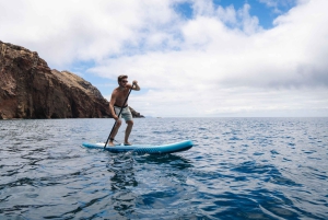 Madeira Private Catamaran Tour in Ponta de Sao Lourenço