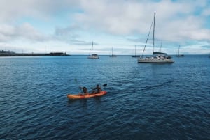 Privat katamarantur på Madeira i Ponta de Sao Lourenço