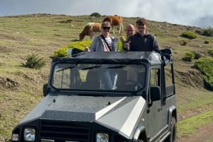 Madeira: Private Full-Day 4x4 Jeep Adventure