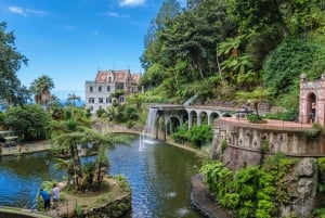 MADEIRA PRIVATE FULL DAY 4X4 Jeep Tour