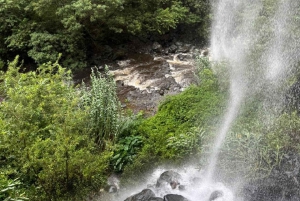 MADEIRA PRIVATE FULL DAY 4X4 Jeep Tour