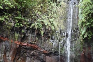 Madeira: Private Full-Day 4x4 Tour with Hotel Pickup