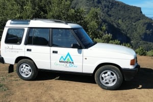 Madeira: Private Full-Day 4x4 Tour with Hotel Pickup