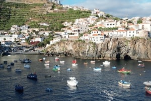 Madeira: Private Full-Day 4x4 Tour with Hotel Pickup