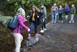 Madeira: Privat dagsutflykt med 4x4 och upphämtning från hotell