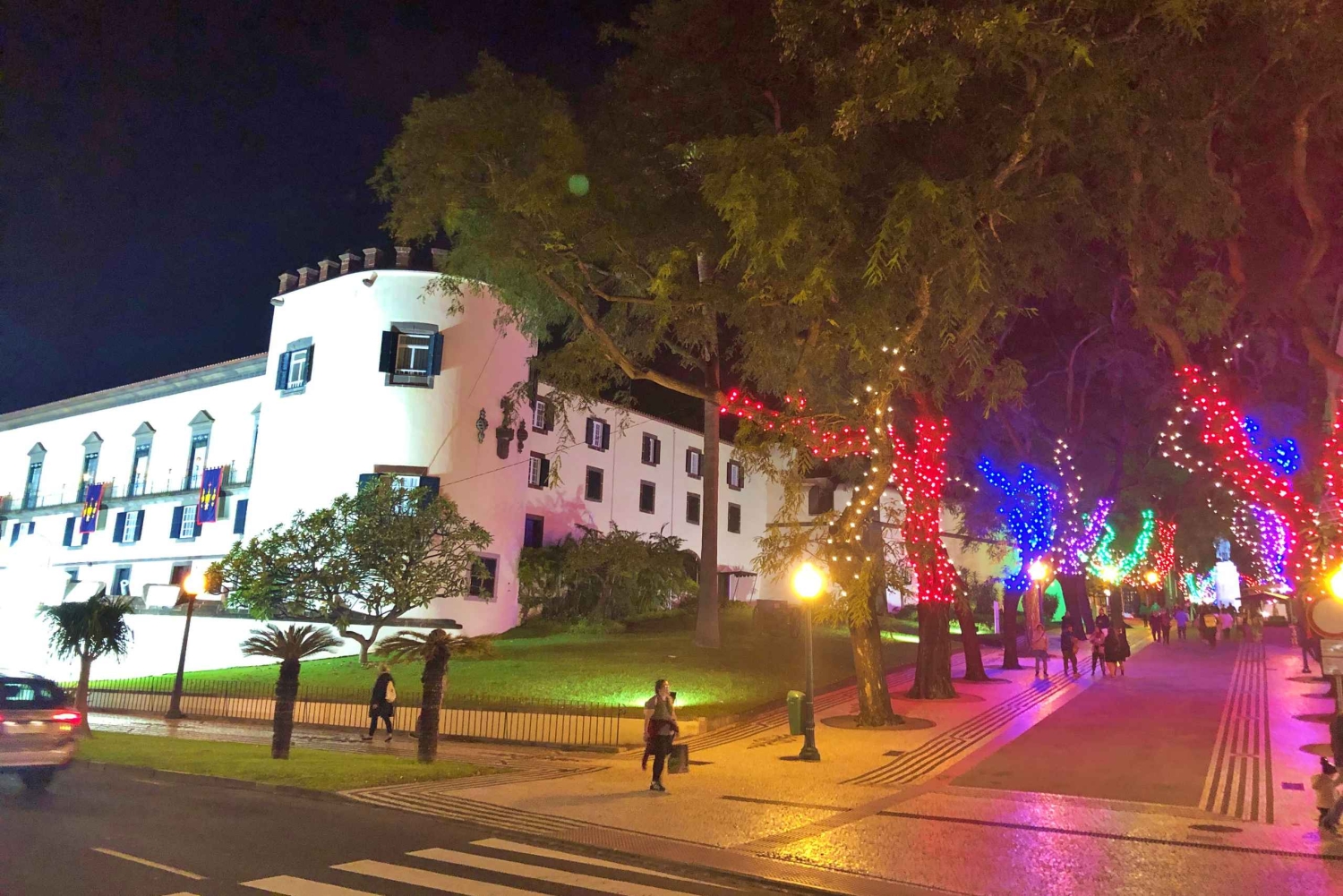 Мадейра: частный тур по рождественским огням Фуншала