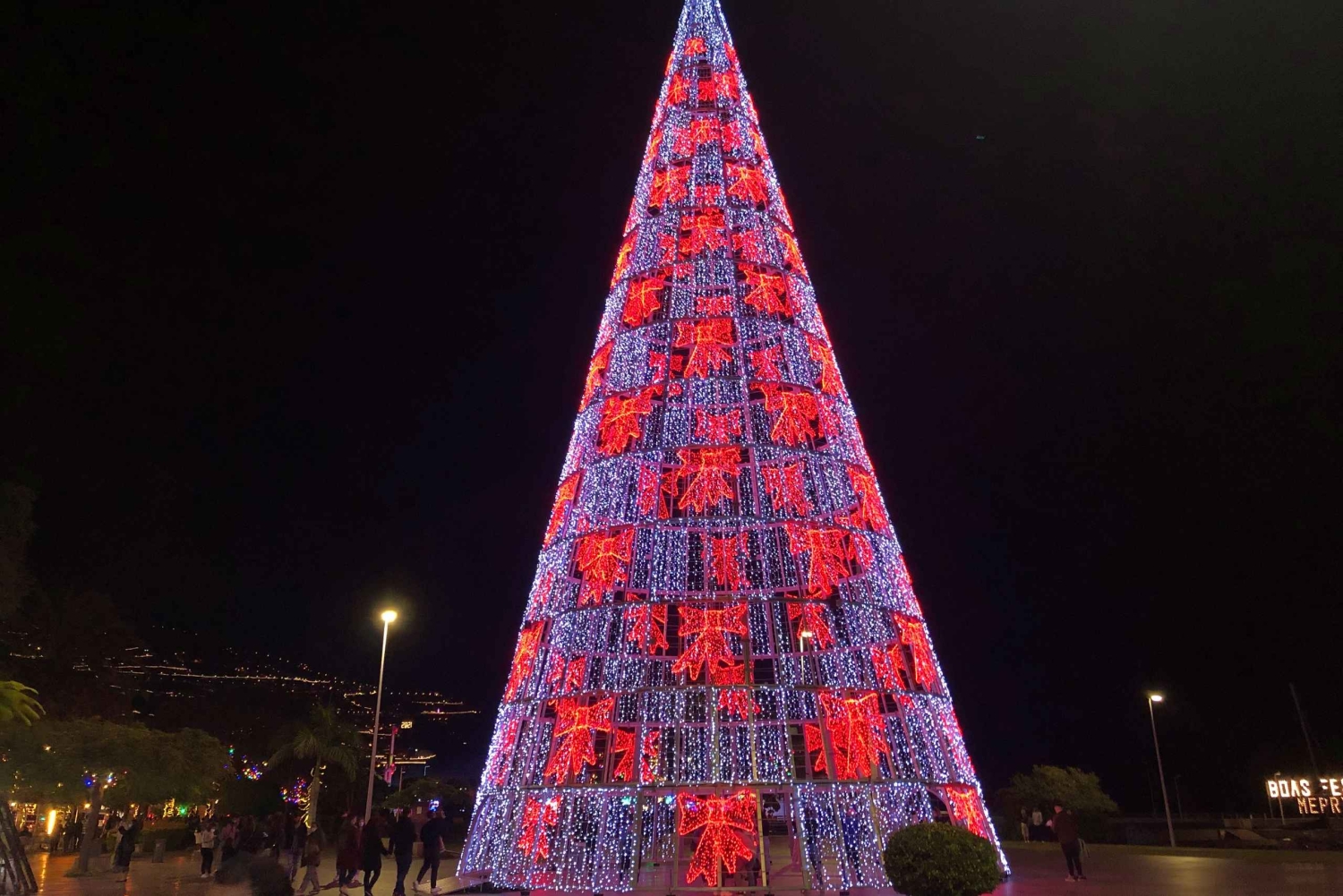 Мадейра: частный тур по рождественским огням Фуншала