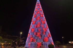 Мадейра: частный тур по рождественским огням Фуншала