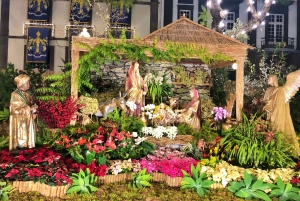 Мадейра: частный тур по рождественским огням Фуншала