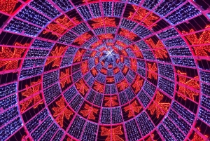 Мадейра: частный тур по рождественским огням Фуншала