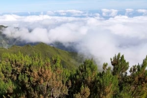 Madeira: Private Guided Achadas Teixeira - Pico Ruivo PR1.1